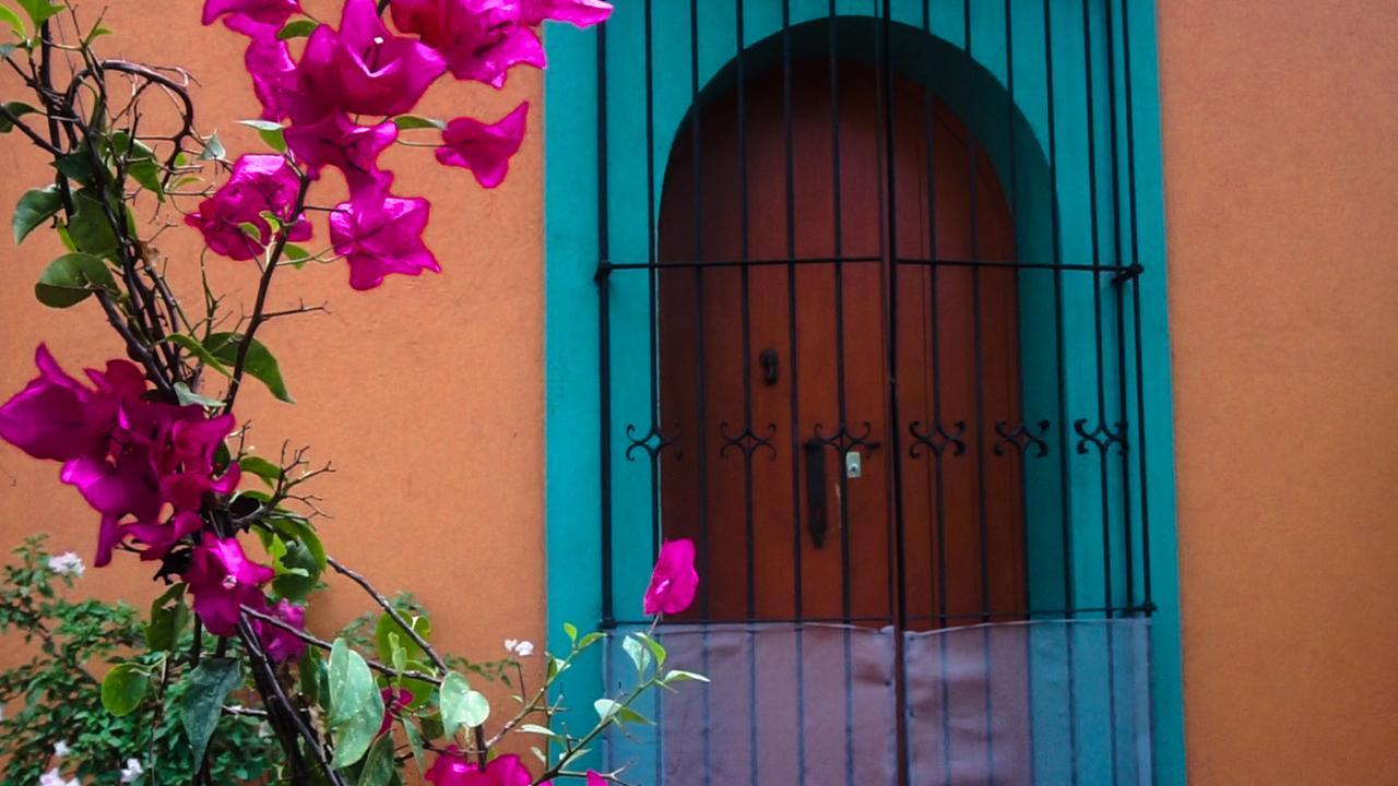 Casa Frida B&B Oaxaca Экстерьер фото