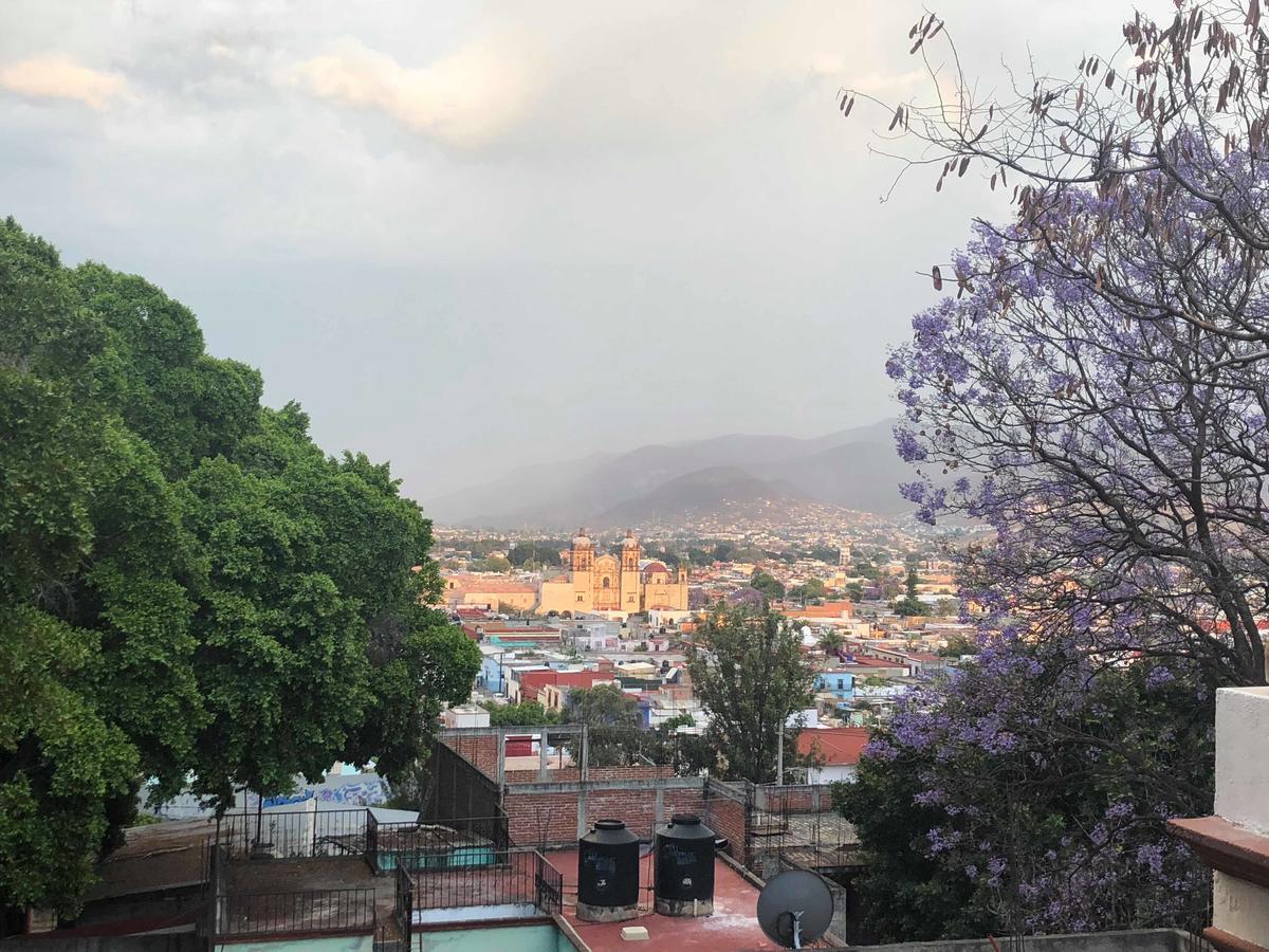 Casa Frida B&B Oaxaca Экстерьер фото