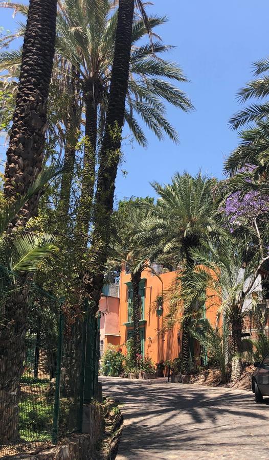 Casa Frida B&B Oaxaca Экстерьер фото